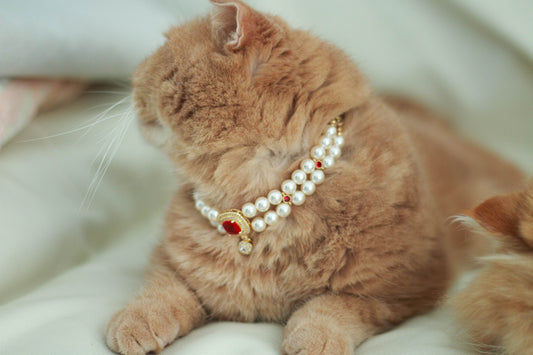 Ruby & Artificial Pearl Handmade Pet Necklace