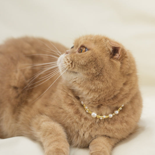 String-Beaded Artificial Pearl Handmade Pet Necklace