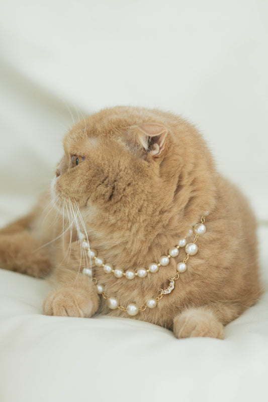 Crystal Crescent & Artificial Pearl Handmade Pet Necklace
